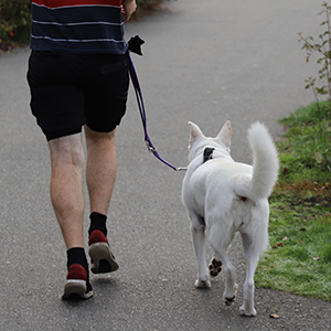 walk-with-a-dog-2021-12-28-18-51-21-utc.jpg